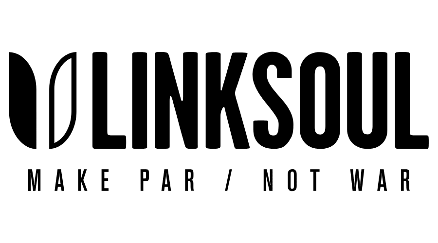 LINKSOUL